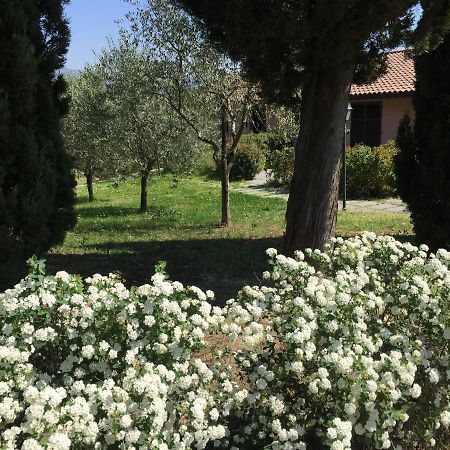 Villa Il Principino Country Resort Vinci Extérieur photo